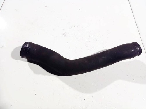 Radiator hose - hose, (water