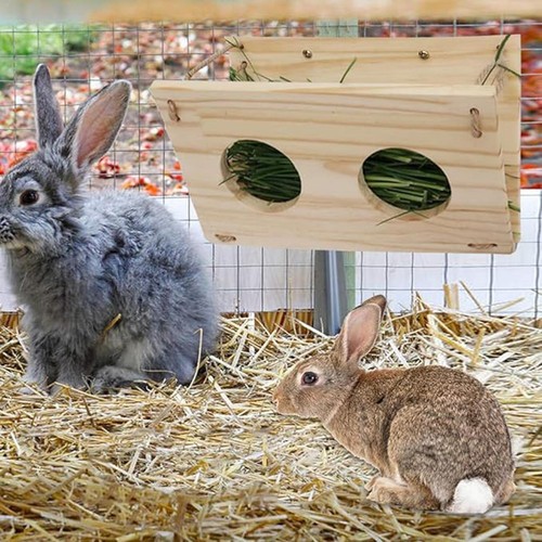 Rabbit hay feeder small - hay,