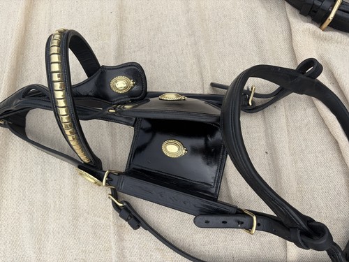 Premium black patent - patent, english