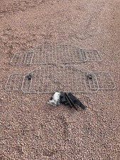 Halford mesh car dog guard