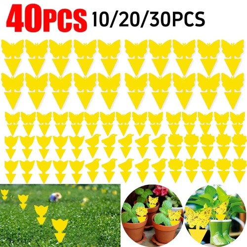 40pcs fruit fly traps yellow - 40pcs,