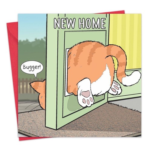 Humorous funny ginger - funny, cat