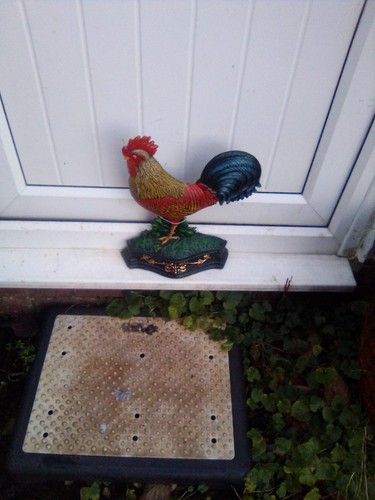 Hand painted cockerel - hand,
