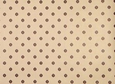 525455 JOHN WILMAN BEIGE WITH