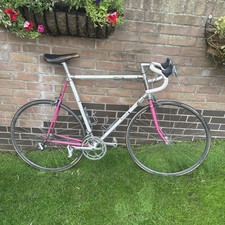 Raleigh Dynatech 700 BARNFIND