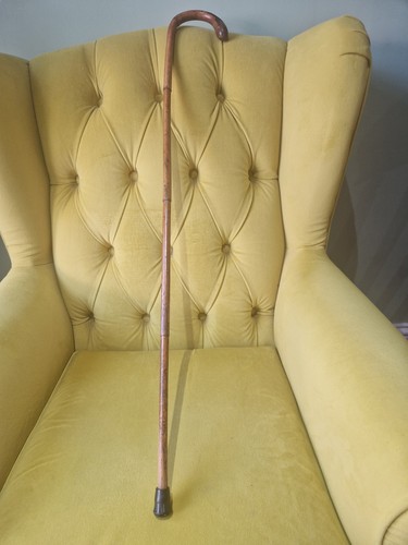 Vintage walking stick bamboo - stick,
