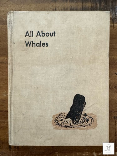 All about whales roy chapman - about,