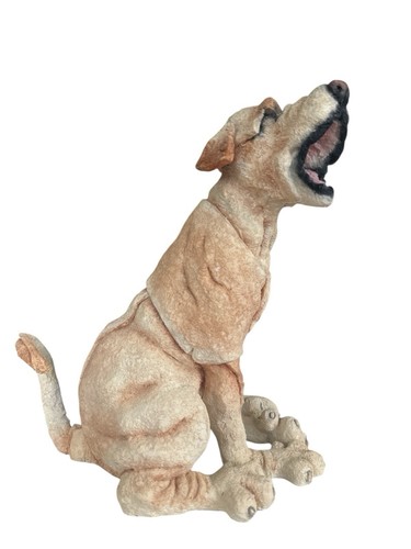 Breed apart yellow - apart, lab