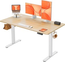 ErGear Electric Standing Desk