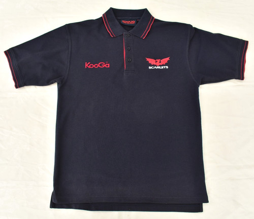Llanelli scarlets rfc rugby - llanelli,