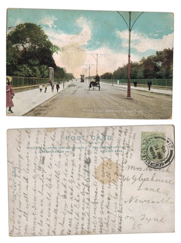 Vintage postcard moor - postcard,