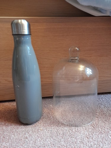 Glass cloche display dome - glass,