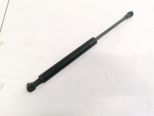   Hood Support (strut front