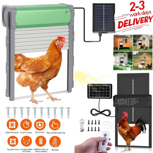 Automatic chicken coop - automatic, door