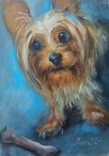 Original Cute Yorkshire Terrier Dog Portrait Oil Painting Unstretched Canvas