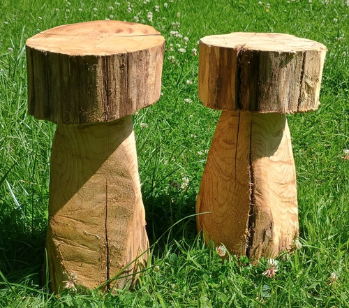 Solid wood mushroom flower pot