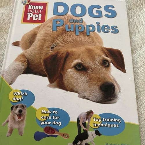 Dogs and puppies know - dogs, your