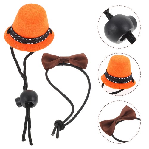 Bearded dragon hats lizard - dragon,