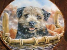 Danbury Mint Collectors Plate