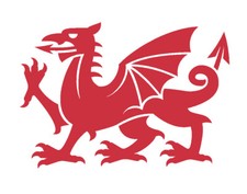 WELSH DRAGON STICKER/DECAL CAR / VAN / LORRY / CAMPER VAN / LAP TOP / MULTI SIZE
