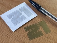 Troy Bayliss Race Number 21 -