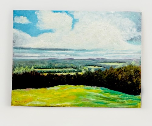 Original landscape oil - original,