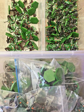 Combat Hex Orcs & Goblins