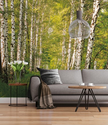 Giant wall mural - , wallpaper