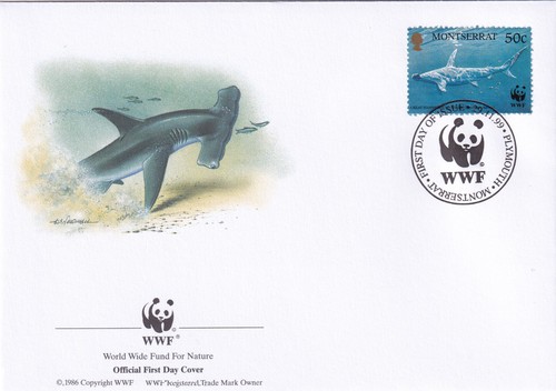 Hammerhead shark wwf - hammerhead,