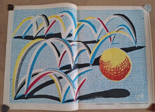 David hockney limited edition - hockney,