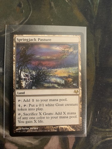 Springjack pasture - ​springjack, pasture​