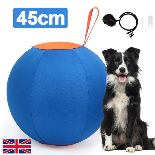 Herding ball anti burst horse - burst,