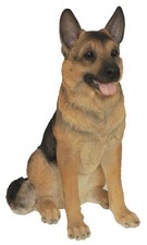 Alsatian German Shepherd Dog