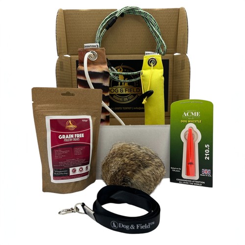Dog field novice - field,