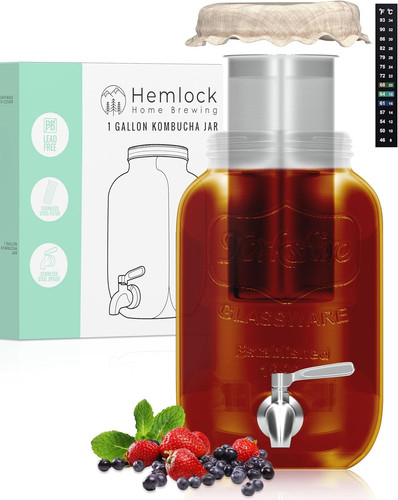 Gallon kombucha jar starter - gallon,