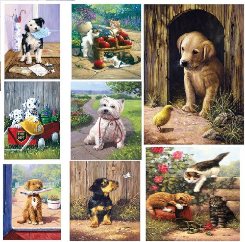 Pick from dogs cats kittens - dogs,