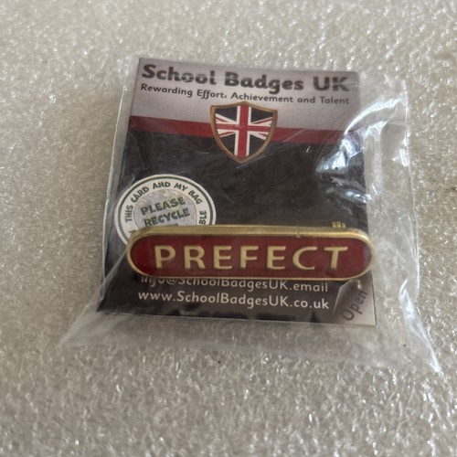School club prefect - school/club, pin