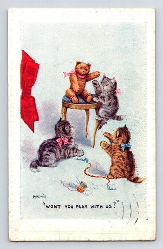 Animals cats playing with - animals:,