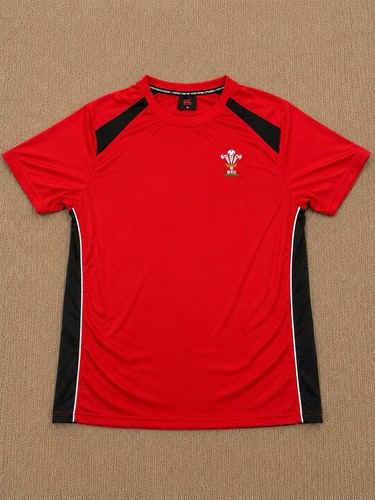 Wales wru rugby training - wales,