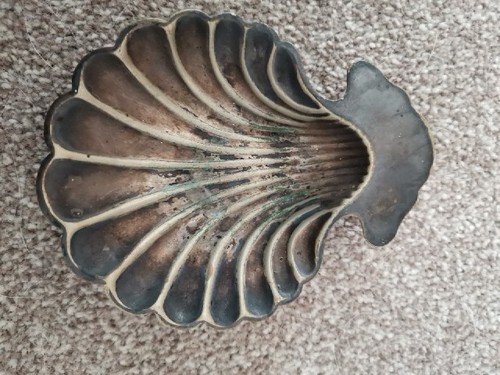 Vintage clam scallop - scallop, shell