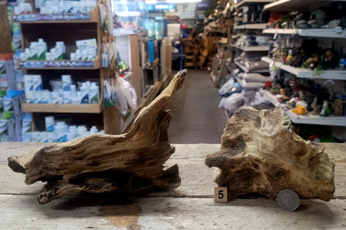 Nano derwen oak - nano, bogwood