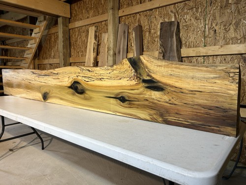 Spalted streaked poplar - spalted,