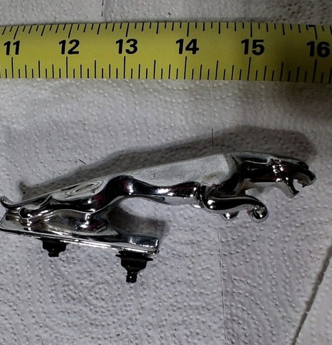 Vintage jaguar chrome - vintage,