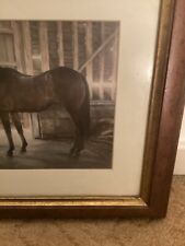 Horse In a Wooden Stable With Lovely Frame