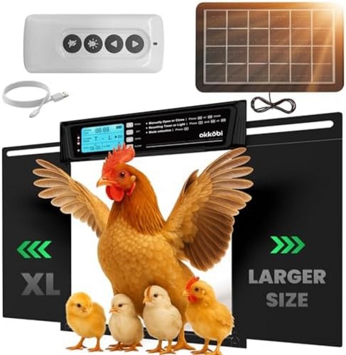 Extra large automatic - extra, chicken