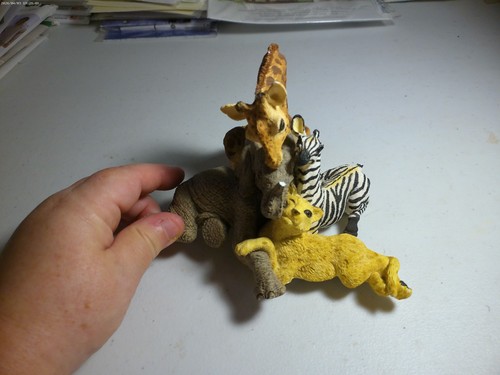 The herd four play elephant - the, play"
