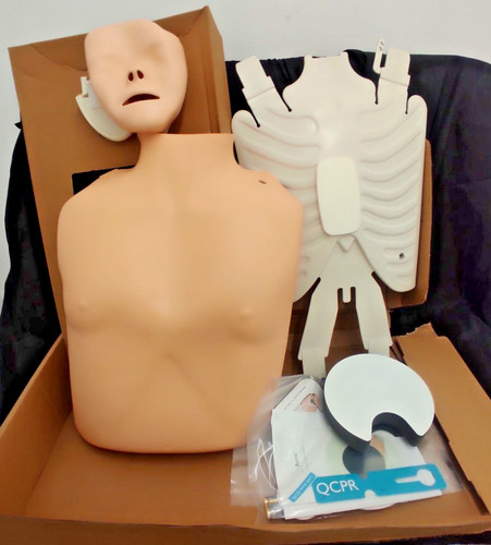 Little ann cardiopulmonary - little,