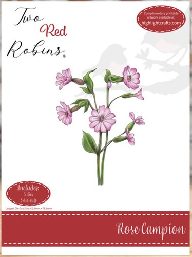 Two red robins rose - two,
