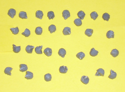 28mm spares pack victrix - 28mm,