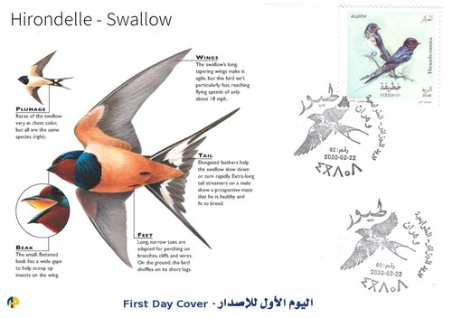 Fdc bird swallow pájaro - fdc,